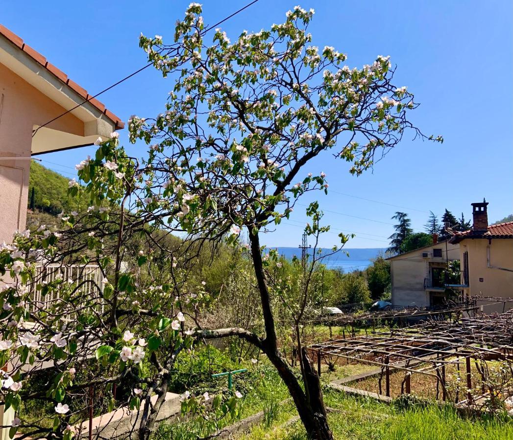 Villa Flamingo Mošćenička Draga Екстериор снимка
